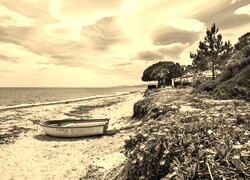 Sepia