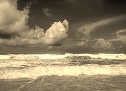 Szary + Sepia