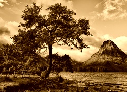 Sepia