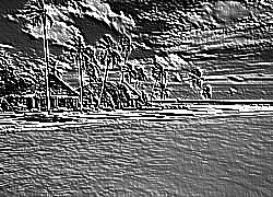 Skamielina