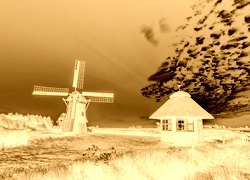 Sepia + Negatyw