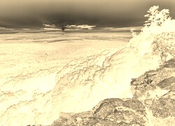 Sepia + Negatyw