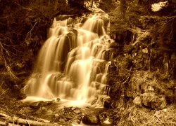 Sepia