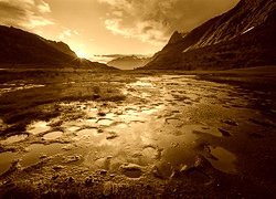 Sepia