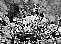 Skamielina