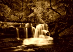 Sepia