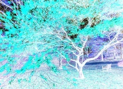 Negatyw