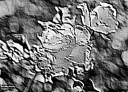 Skamielina