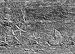 Skamielina