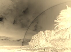 Sepia + Negatyw