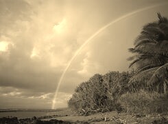 Szary + Sepia