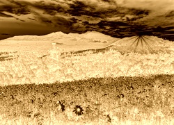 Sepia + Negatyw