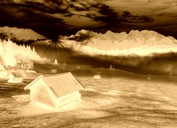 Sepia + Negatyw