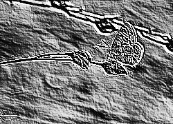 Skamielina