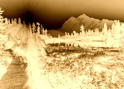 Sepia + Negatyw