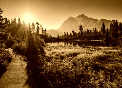 Sepia