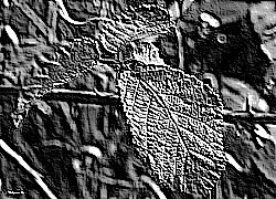 Skamielina