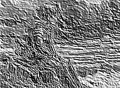 Skamielina