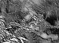 Skamielina