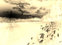 Sepia + Negatyw