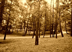 Sepia