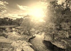 Szary + Sepia