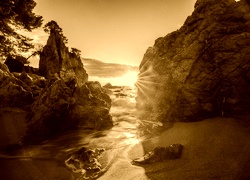 Sepia