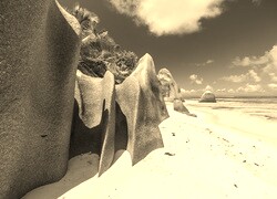 Szary + Sepia