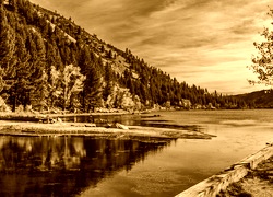 Sepia