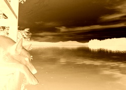 Sepia + Negatyw