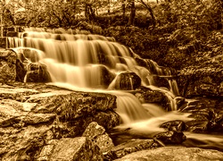 Sepia