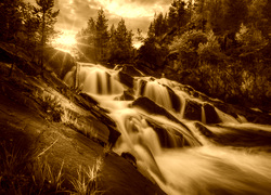 Sepia