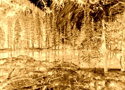 Sepia + Negatyw