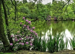 Oryginalny obrazek