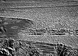 Skamielina