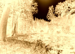 Sepia + Negatyw