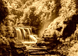 Sepia