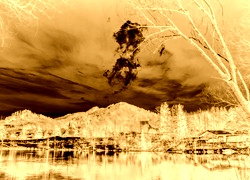 Sepia + Negatyw