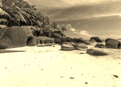 Szary + Sepia