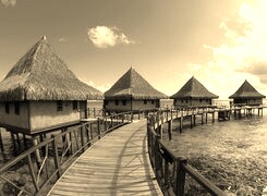 Szary + Sepia