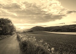 Szary + Sepia