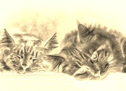 Sepia + Negatyw