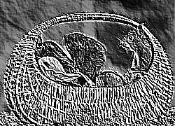 Skamielina