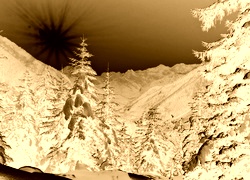 Sepia + Negatyw