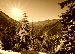 Sepia