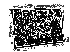 Skamielina