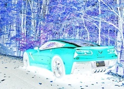 Negatyw