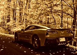 Sepia