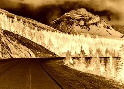 Sepia + Negatyw