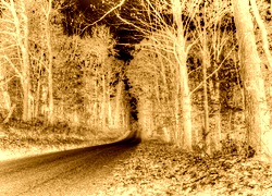 Sepia + Negatyw